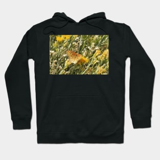 Painted Lady, Butterfly, Nature, Wildlife Hoodie